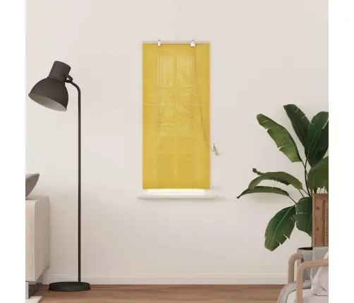Logu Žalūzijas Un Aizsegi Dzeltena 60 X 160 Cm Bambuss Vidaxl