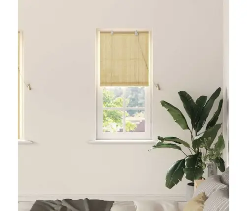 Logu Žalūzijas Un Aizsegi Dabiska 60 X 160 Cm Bambuss Vidaxl