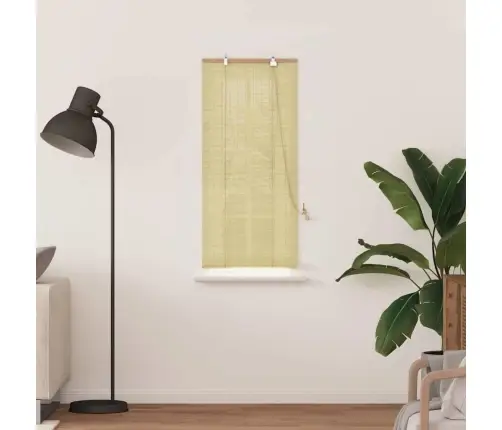 Logu Žalūzijas Un Aizsegi Dabiska 60 X 160 Cm Bambuss Vidaxl