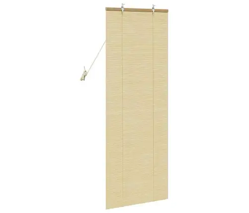 Logu Žalūzijas Un Aizsegi Dabiska 60 X 160 Cm Bambuss Vidaxl