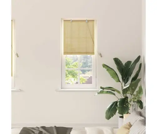 Logu Žalūzijas Un Aizsegi Dabiska 60 X 220 Cm Bambuss Vidaxl