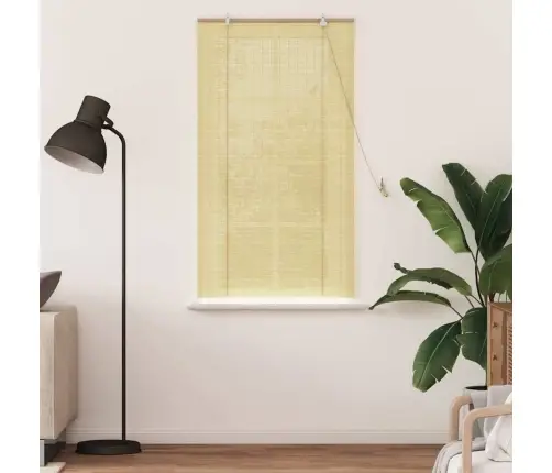 Logu Žalūzijas Un Aizsegi Dabiska 90 X 160 Cm Bambuss Vidaxl