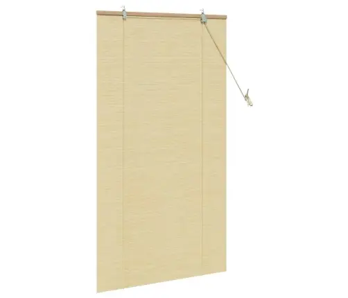 Logu Žalūzijas Un Aizsegi Dabiska 90 X 160 Cm Bambuss Vidaxl
