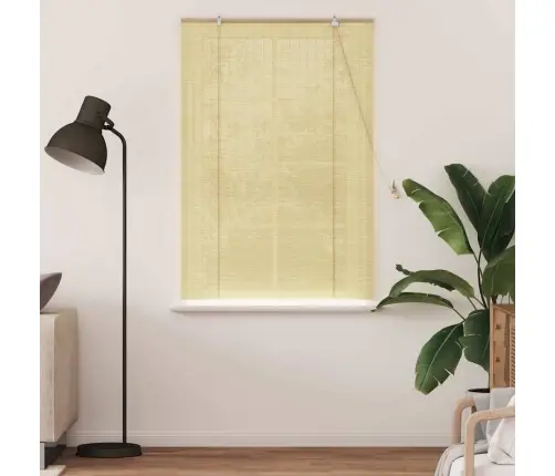Logu Žalūzijas Un Aizsegi Dabiska 120 X 160 Cm Bambuss Vidaxl