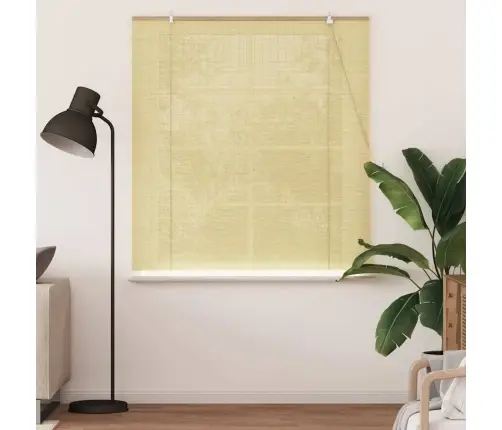 Logu Žalūzijas Un Aizsegi Dabiska 150 X 160 Cm Bambuss Vidaxl