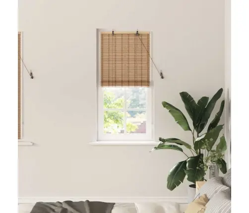 Logu Žalūzijas Un Aizsegi Gaiši Brūns 60 X 160 Cm Bambuss Vidaxl