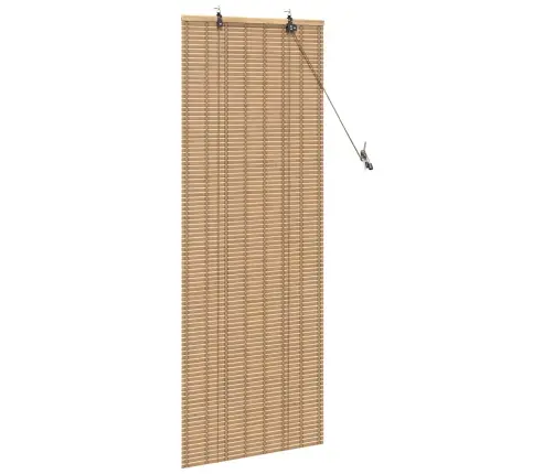 Logu Žalūzijas Un Aizsegi Gaiši Brūns 60 X 160 Cm Bambuss Vidaxl