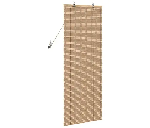 Logu Žalūzijas Un Aizsegi Gaiši Brūns 60 X 160 Cm Bambuss Vidaxl