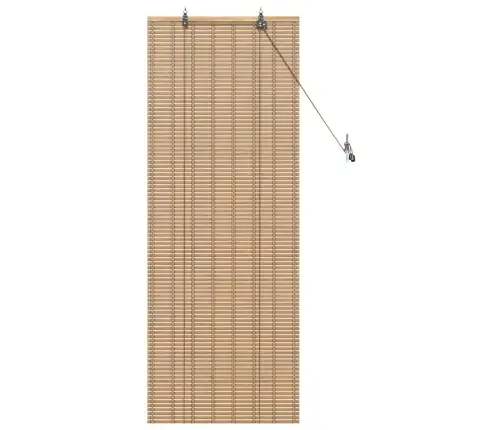 Logu Žalūzijas Un Aizsegi Gaiši Brūns 60 X 160 Cm Bambuss Vidaxl