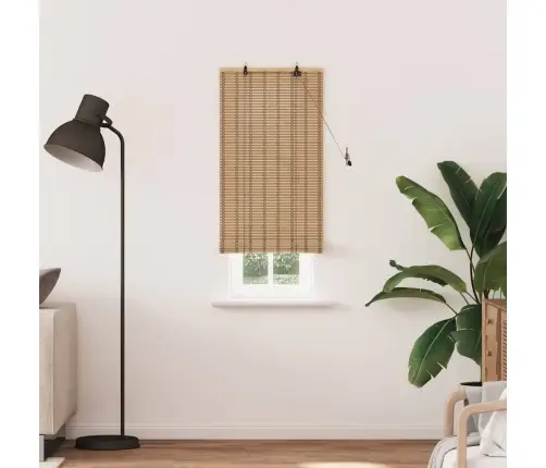 Logu Žalūzijas Un Aizsegi Gaiši Brūns 60 X 220 Cm Bambuss Vidaxl Logu Žalūzijas Un Aizsegi Gaiši Brūns 60 X 220 Cm Bambuss Vidaxl