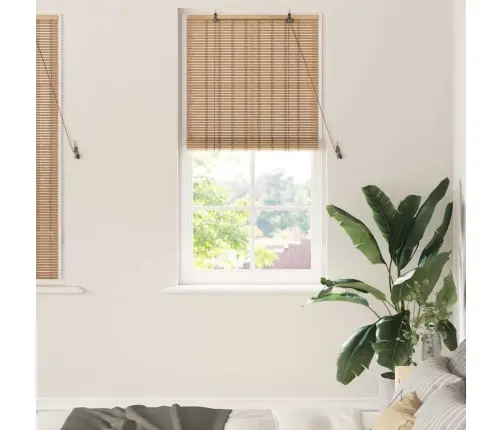 Logu Žalūzijas Un Aizsegi Gaiši Brūns 80 X 160 Cm Bambuss Vidaxl