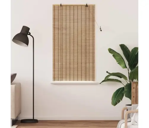 Logu Žalūzijas Un Aizsegi Gaiši Brūns 80 X 160 Cm Bambuss Vidaxl