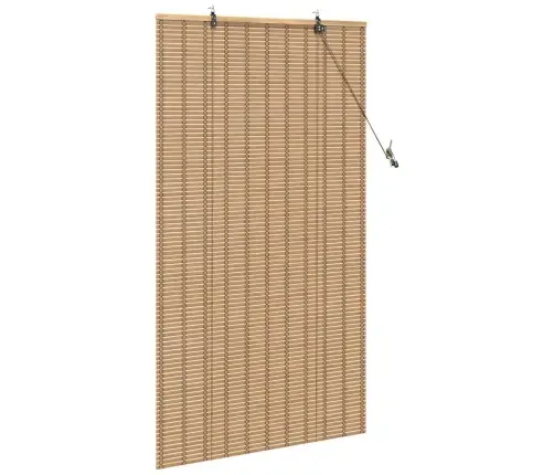 Logu Žalūzijas Un Aizsegi Gaiši Brūns 80 X 160 Cm Bambuss Vidaxl