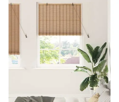 Logu Žalūzijas Un Aizsegi Gaiši Brūns 110 X 220 Cm Bambuss Vidaxl