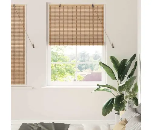 Logu Žalūzijas Un Aizsegi Gaiši Brūns 120 X 160 Cm Bambuss Vidaxl