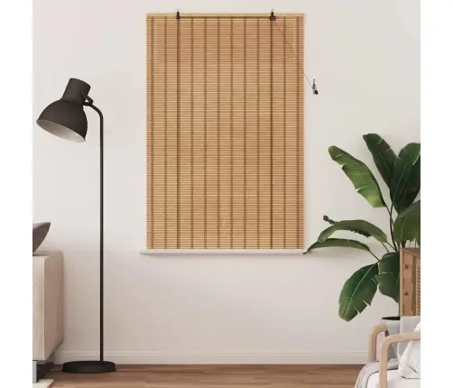 Logu Žalūzijas Un Aizsegi Gaiši Brūns 120 X 160 Cm Bambuss Vidaxl