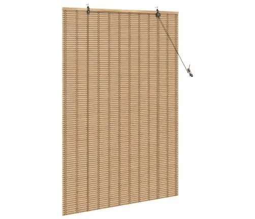 Logu Žalūzijas Un Aizsegi Gaiši Brūns 120 X 160 Cm Bambuss Vidaxl