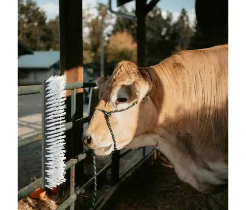 Lopusu Suka Sienā Piekārta 50X10X6.5 Cm Vidaxl