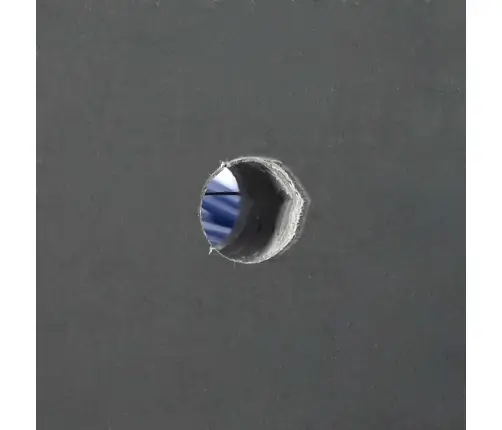 Lopu Birstes Sienā Nostiprināmas 50X10X6.5 Cm Vidaxl