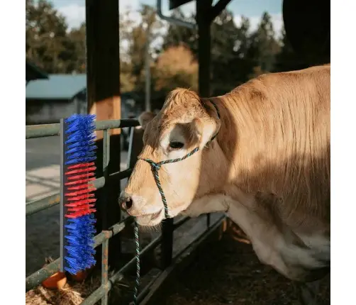 Lopu Birstes Sienā Nostiprināmas 50X10X6.5 Cm Vidaxl