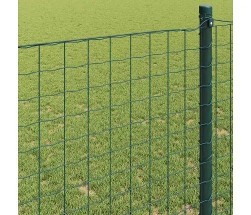 Euroopa Aed Roheline 0.6 X 10 M Pvc-Kaetud Raud