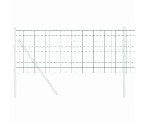 Eiro Žogs Zaļš 0.8X10 M Tērauds Vidaxl