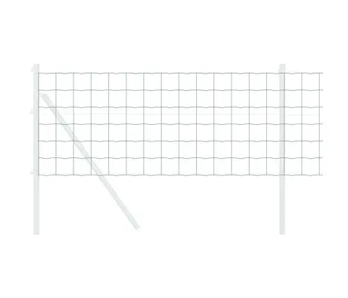 Euroopa Aed Roheline 0.6 X 10 M Pvc-Kaetud Raud