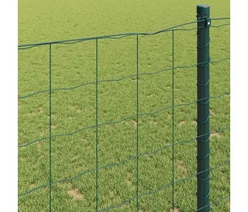 Eiro Žogs Zaļš 1.6X10M Tērauds Vidaxl