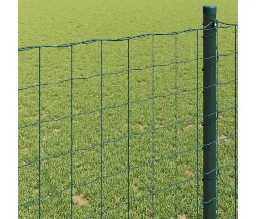 Eiro Žogs Zaļš 1.6X10 M Tērauds Vidaxl