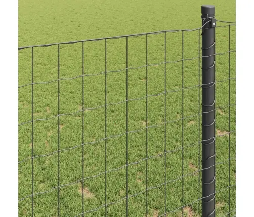 Eiropas Žogs Pelēks 0.4X10 M Tērauds Vidaxl