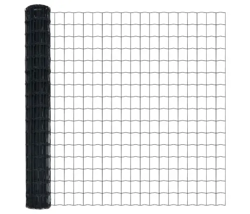 Euroopa Aed Hall 1.6 X 10 M Pvc-Kaetud Raud