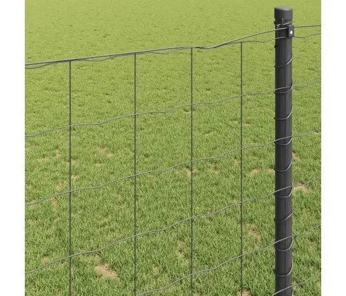 Eiropas Žogs Pelēks 0.6X10 M Tērauds Vidaxl