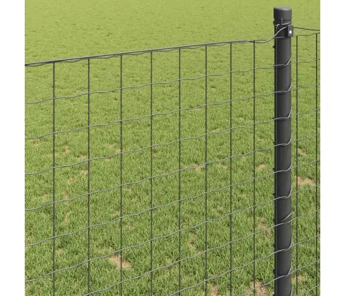 Euro Tvora Pilka 1 X 25 M Pvc Padengta Geležis