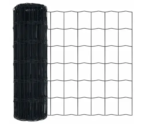 Euroopa Aed Hall 0.8 X 25 M Pvc-Kaetud Raud