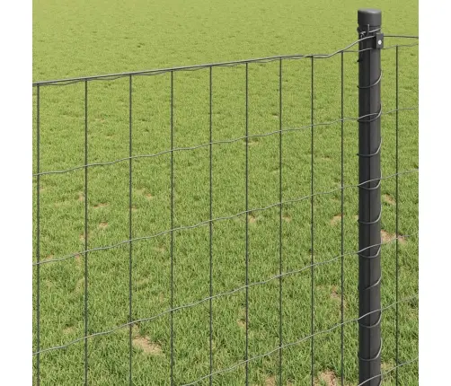 Eiropas Žogs Pelēks 0.6X50 M Tērauds Vidaxl