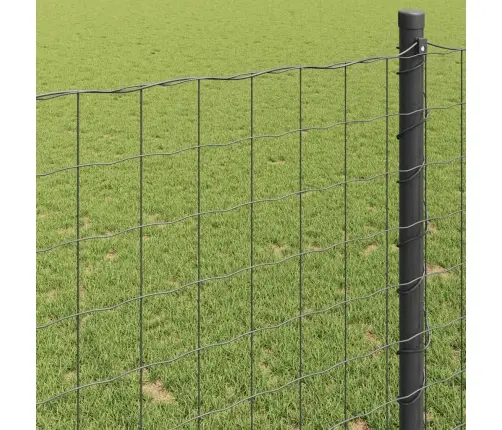 Pelēks Eiropas Žogs 0.4X10 M Tērauds Vidaxl