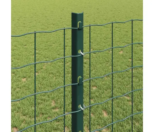 Eiro Žogs Ar 5 U Veida Balstiem, 1.2X10 M, Zaļa Krāsa Vidaxl