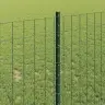 Vidaxl Eiropas Žogs Ar 5 U Stabiem Zaļš 1X10 M Tērauds