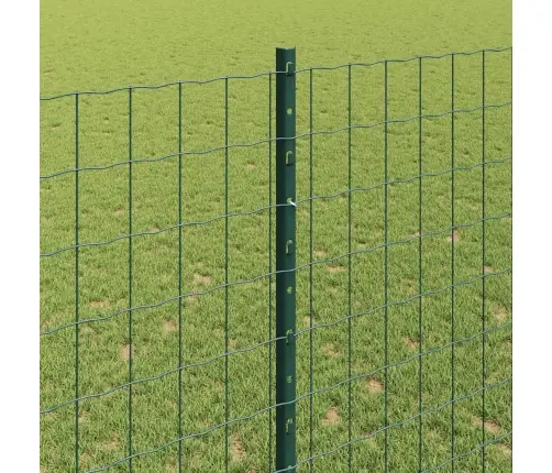 Euro Žogs Ar 5 U Stabiem Zaļš 1.4X10 M Tērauds Vidaxl