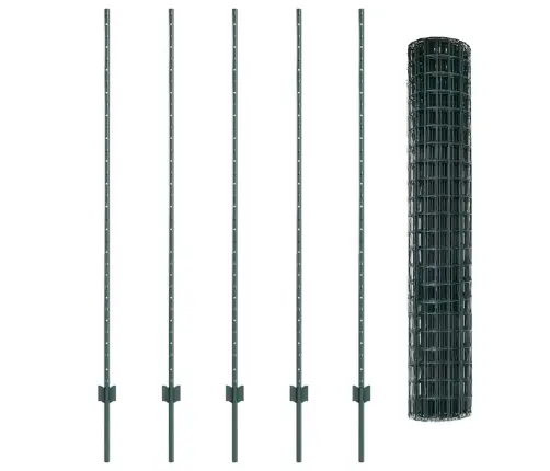 Eiropas Žogs Ar 5 U Stabiem, Zaļš, 1.6X10 M, Tērauds Vidaxl