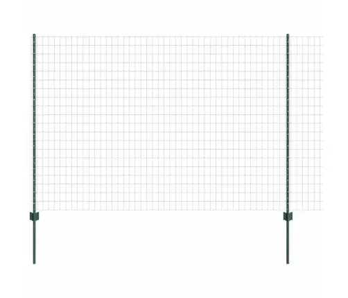 Eiropas Žogs Ar 5 U Stabiem, Zaļš, 1.6X10 M, Tērauds Vidaxl