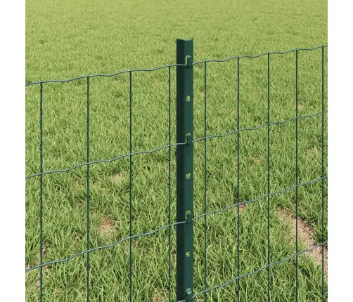 Eiropas Žogs Ar 5 U Stabiņiem Zaļš 0.4X10 M Tērauds Vidaxl