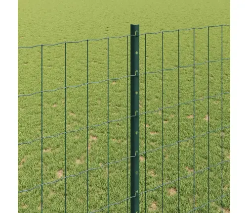 Euro Žogs Ar 5 U Stabiem Zaļš 1.6X10 M Tērauds Vidaxl