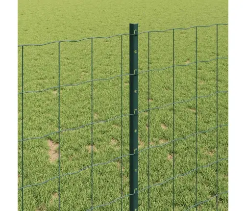 Eiro Žogs Ar 5 U Stabiem Zaļš 1X10 M Tērauds Vidaxl