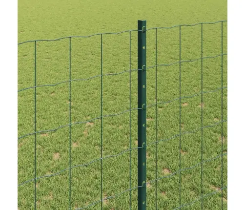 Eiropas Žogs Ar 5 U Stabiem Zaļš 1,4X10 M Tērauds Vidaxl