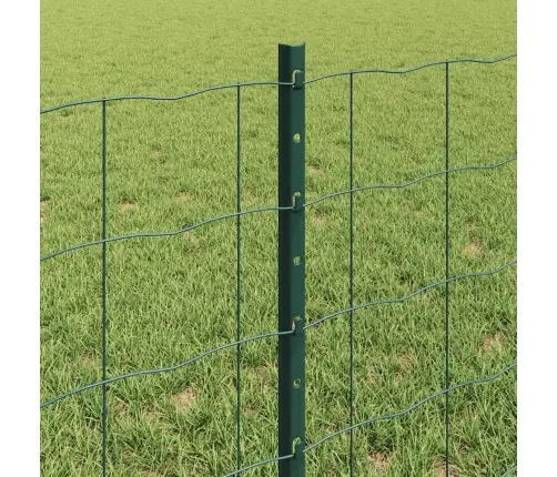 Eiropas Žogs Ar 5 U Stabiem Zaļš 0.6X10 M Tērauds Vidaxl