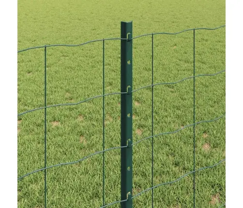 Tvora Su Stulpais Žalia 0.8 X 10 M Plienas