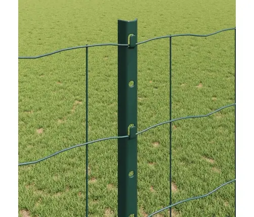 Aed Koos Postiga Roheline 1,2 X 10 M Teras