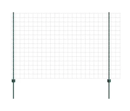 Euro Žogs Ar 5 U Stabiem Zaļš 1,6X10 M Tērauds Vidaxl