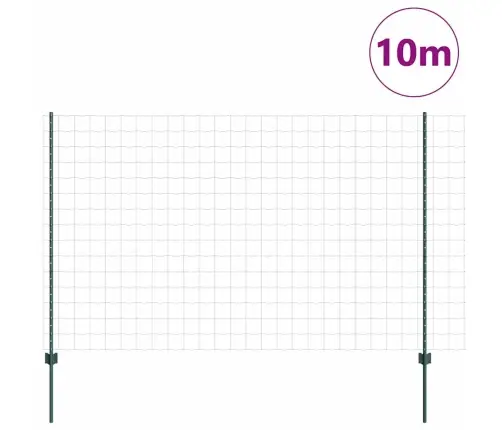 Euro Žogs Ar 5 U Stabiem Zaļš 1,6X10 M Tērauds Vidaxl